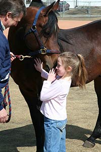 Horse Class