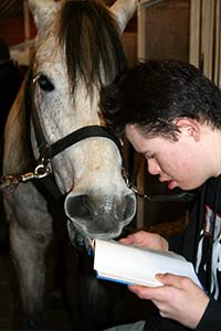 Reading To Horses!