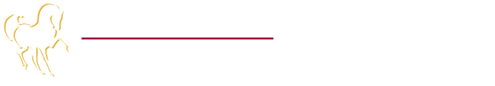 Arabian Horse Reading Literacy Project