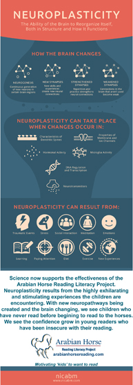 AHRLP Neuroplasticity