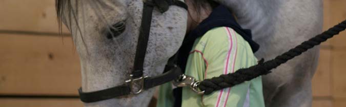 Reading to Horses