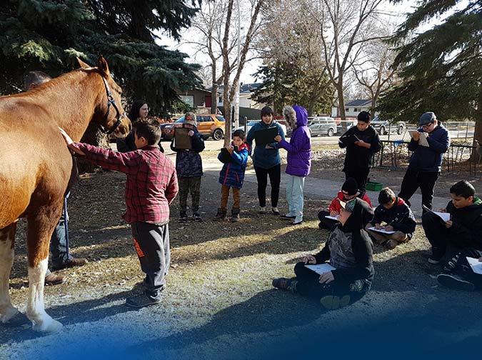 Reading to Horses