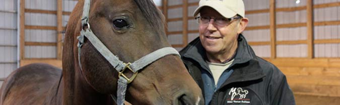 Reading to Horses