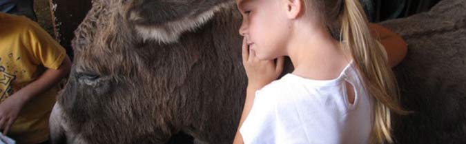 Reading to Horses