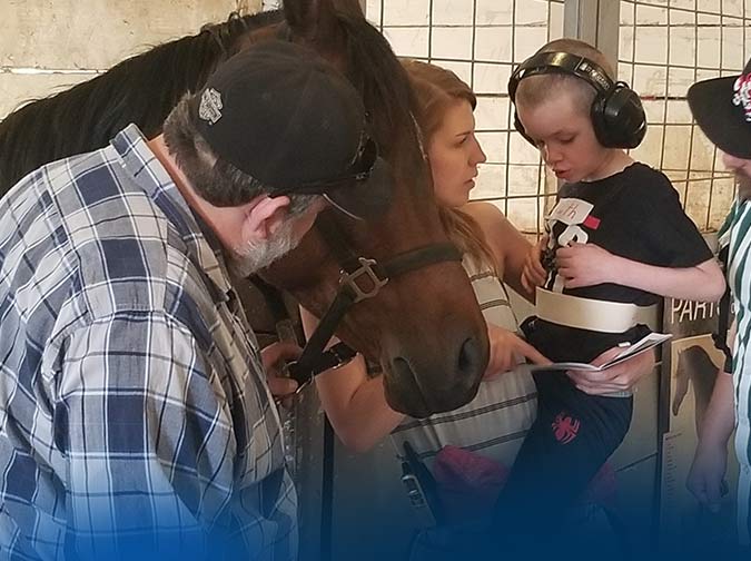 Reading to Horses