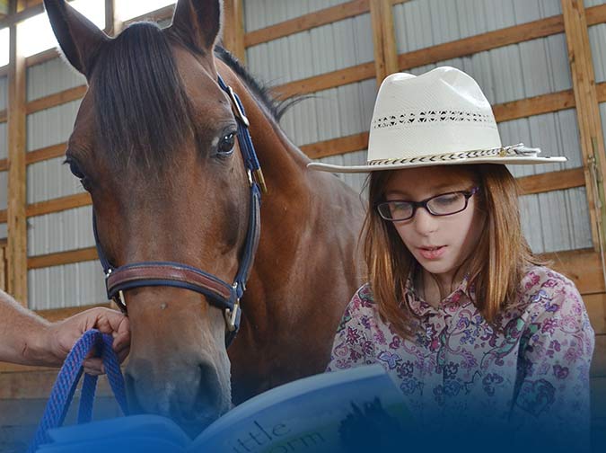 Reading to Horses