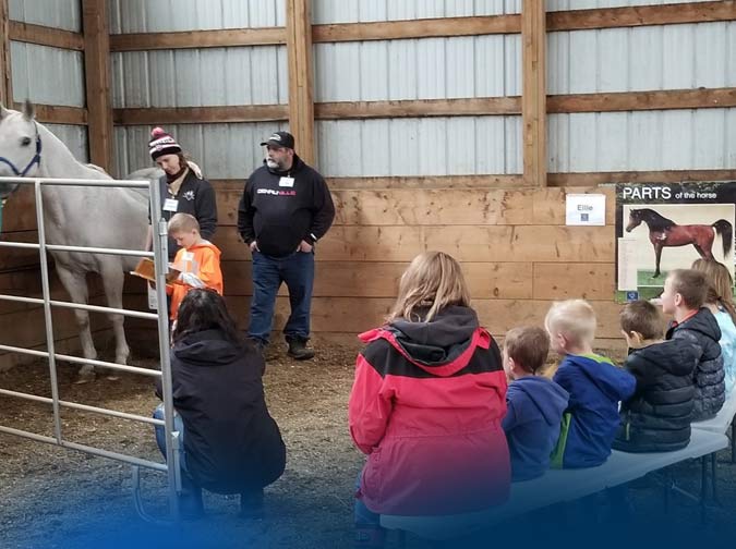 Reading to Horses